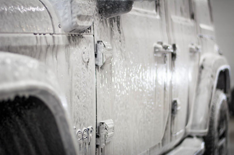 Promotion du Printemps